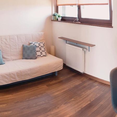 Apartament Beskidzki Relax Устронь Экстерьер фото